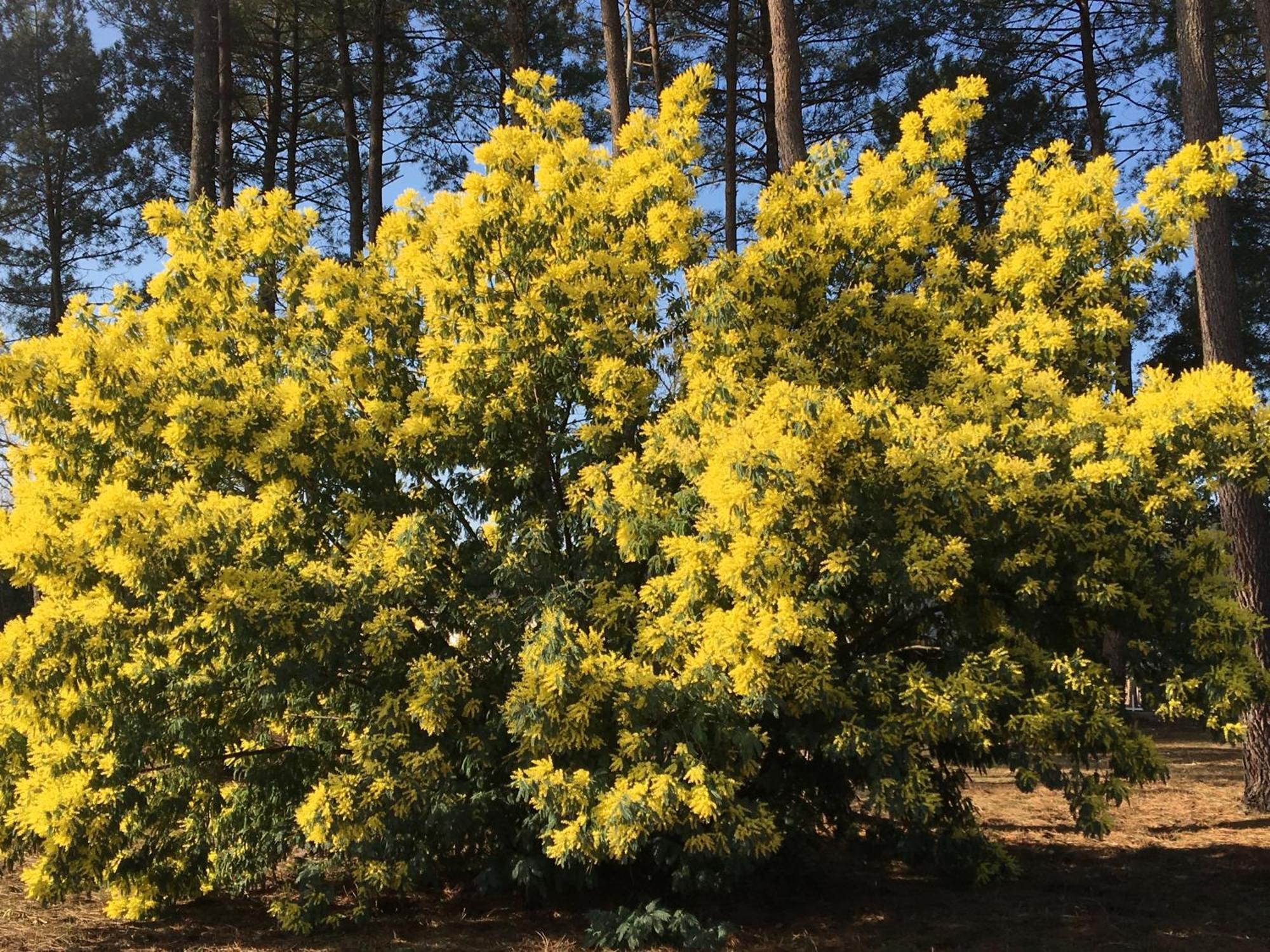 利和米克斯La Bergerie Des Landes别墅 外观 照片